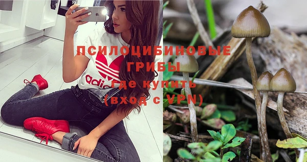 MESCALINE Заводоуковск