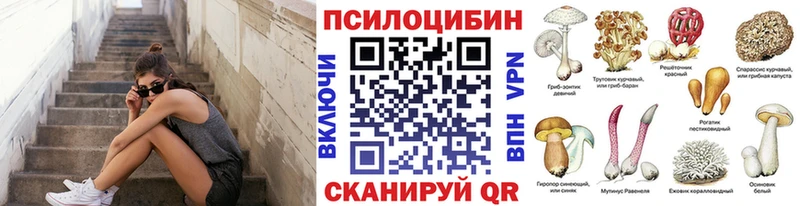 Купить  Михайлов  Псилоцибиновые грибы прущие грибы 